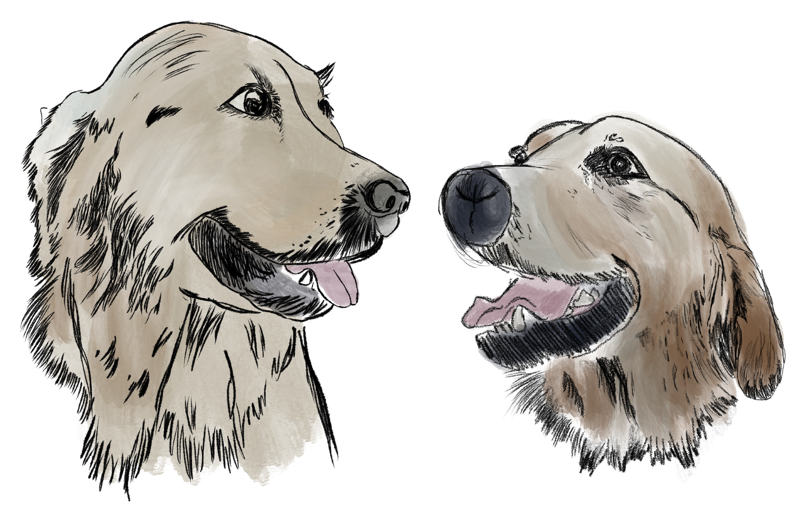 Honey et Molly Telecommunications